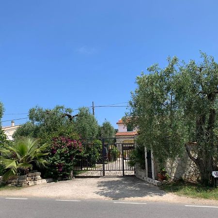 Villa Monica Appartamenti Vieste Eksteriør billede