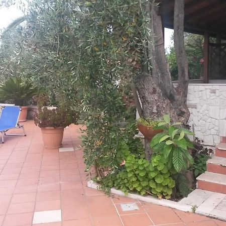 Villa Monica Appartamenti Vieste Eksteriør billede