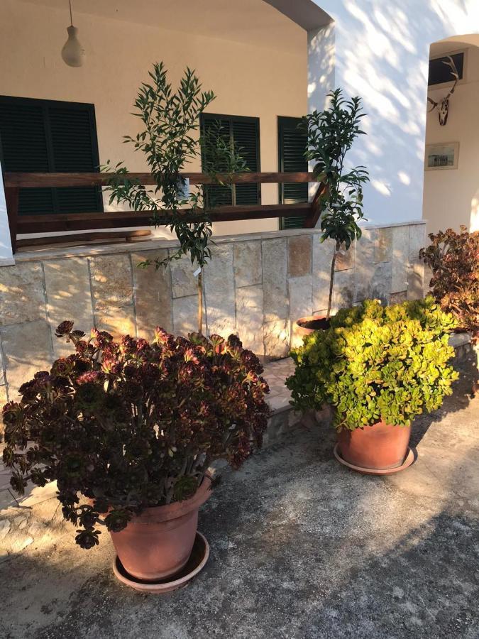 Villa Monica Appartamenti Vieste Eksteriør billede