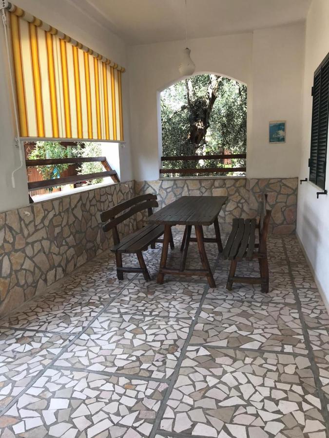 Villa Monica Appartamenti Vieste Eksteriør billede