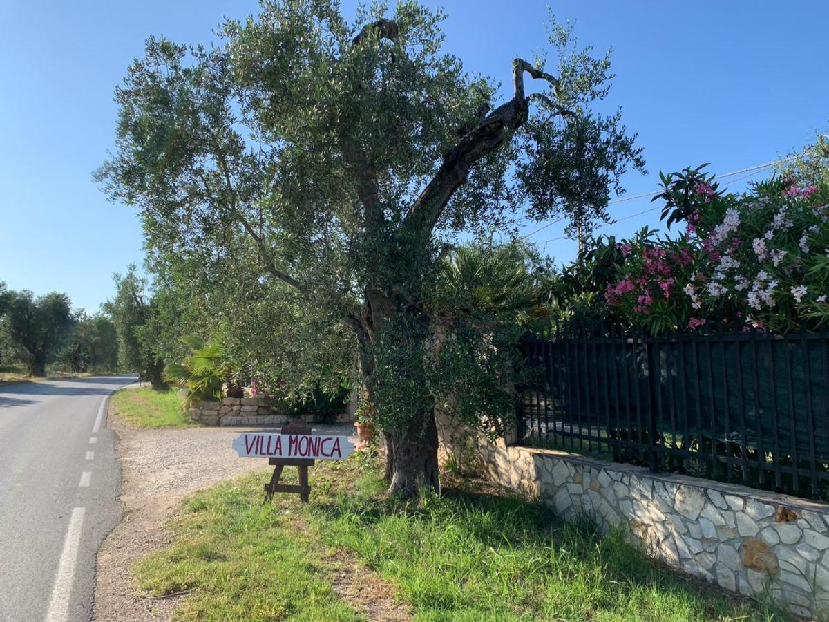 Villa Monica Appartamenti Vieste Eksteriør billede