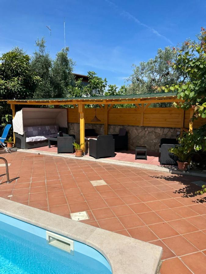 Villa Monica Appartamenti Vieste Eksteriør billede