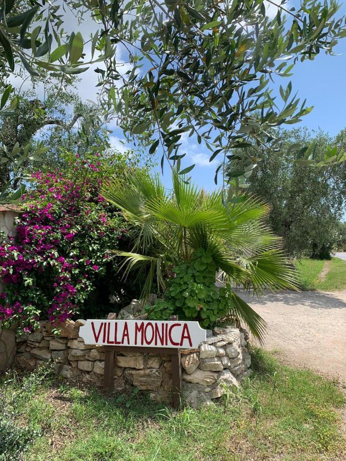 Villa Monica Appartamenti Vieste Eksteriør billede