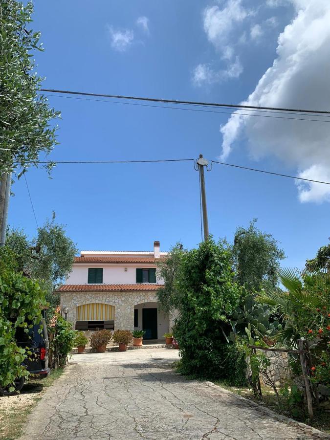 Villa Monica Appartamenti Vieste Eksteriør billede