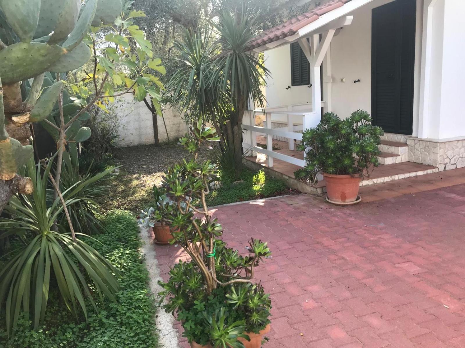Villa Monica Appartamenti Vieste Eksteriør billede