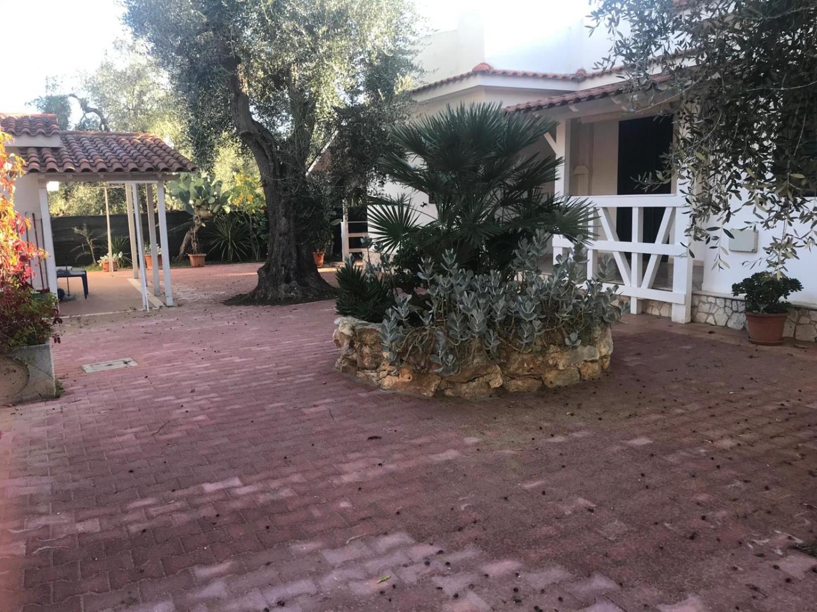 Villa Monica Appartamenti Vieste Eksteriør billede