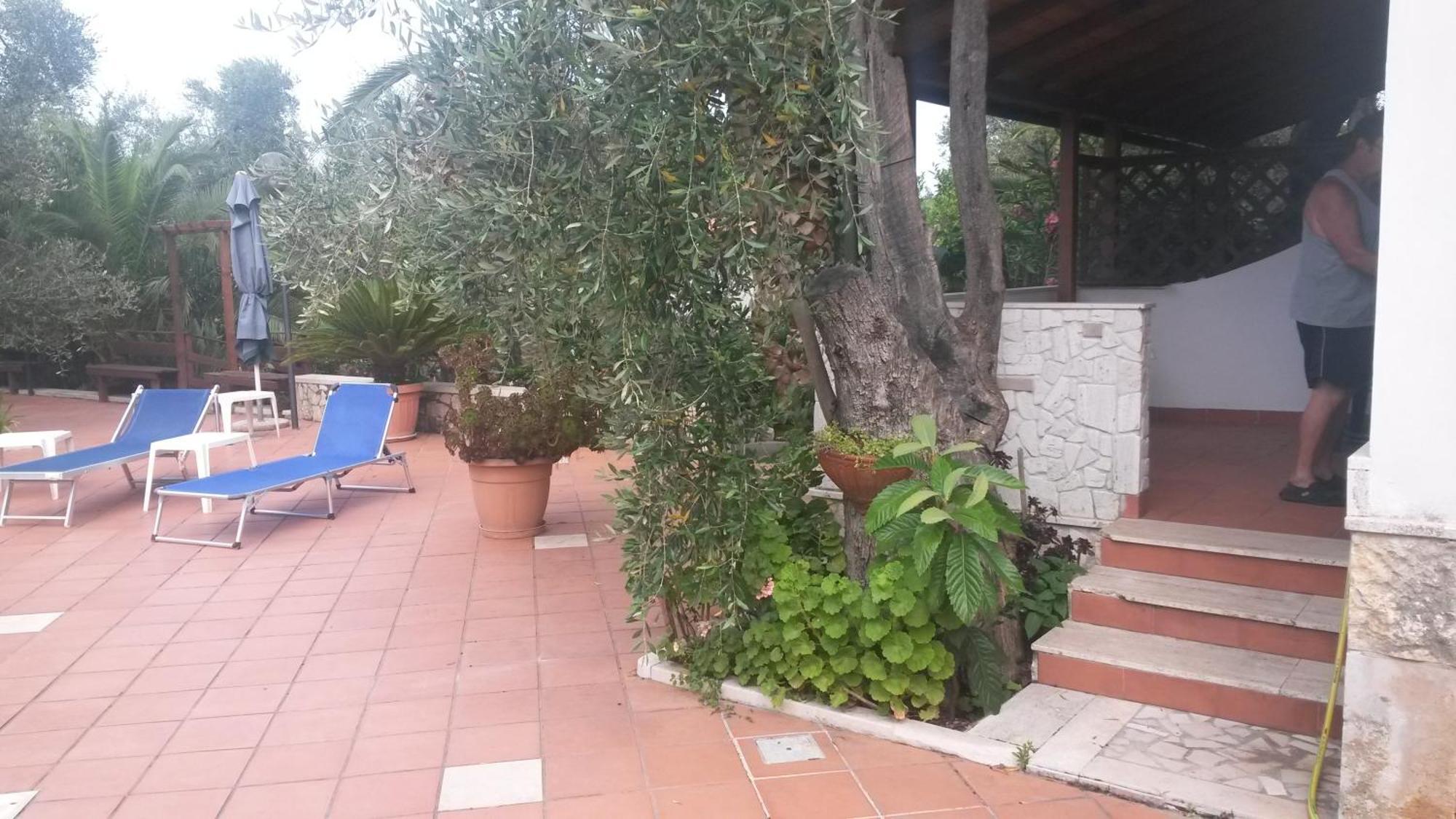 Villa Monica Appartamenti Vieste Eksteriør billede