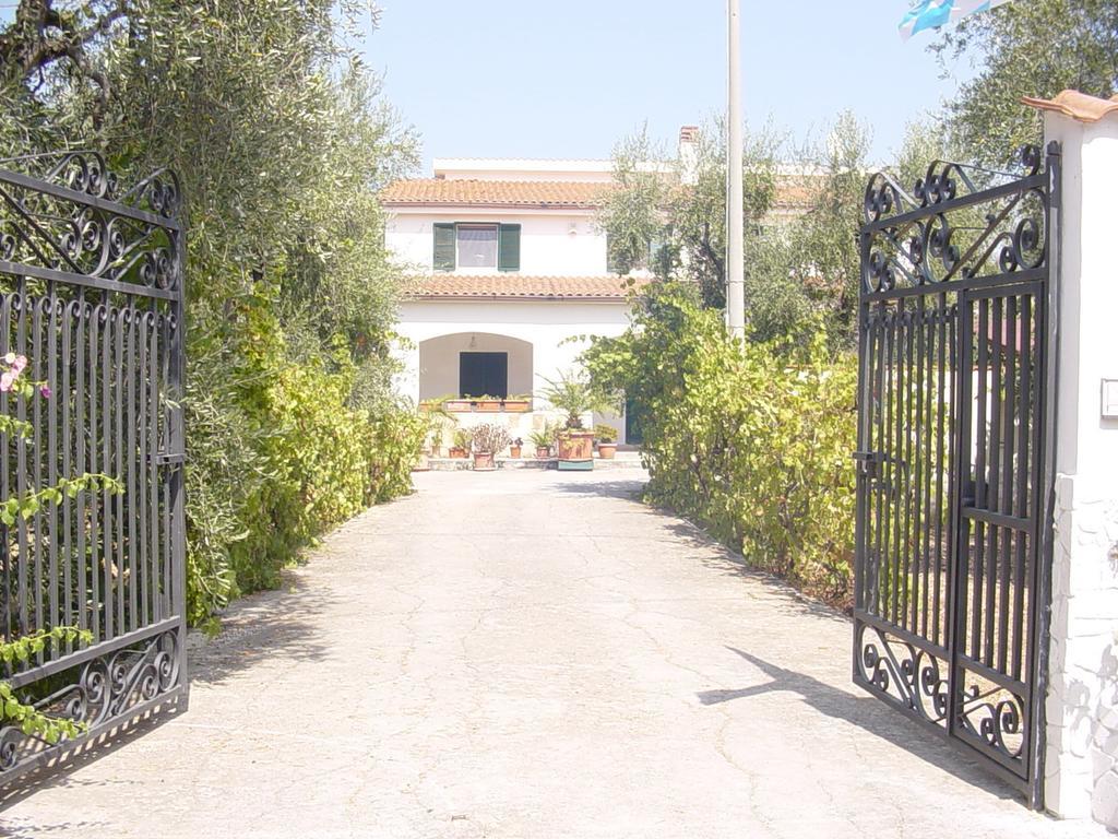 Villa Monica Appartamenti Vieste Eksteriør billede