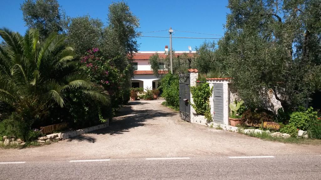 Villa Monica Appartamenti Vieste Eksteriør billede